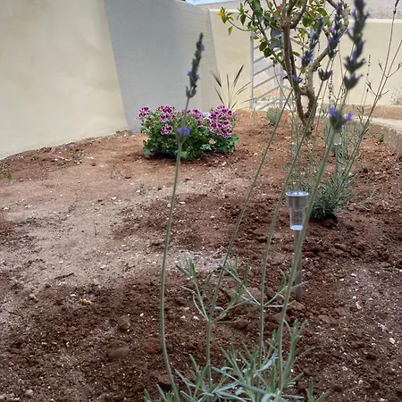 Sale Di Mare מרסאלה